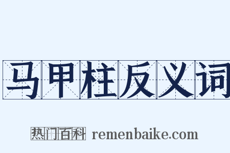 马甲柱反义词是什么意思的图片